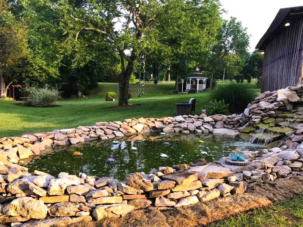 poli's pond