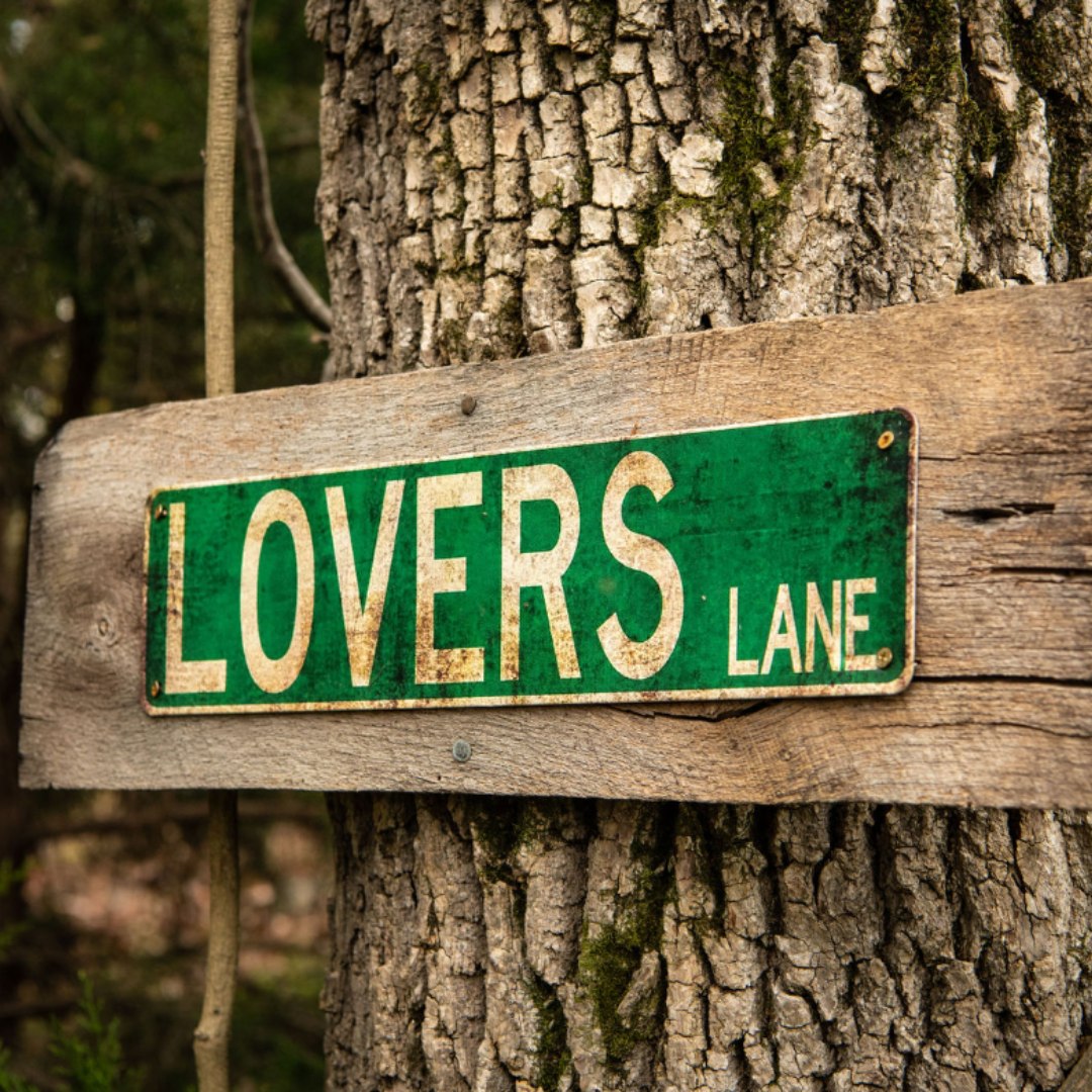 lovers lane sign on tree