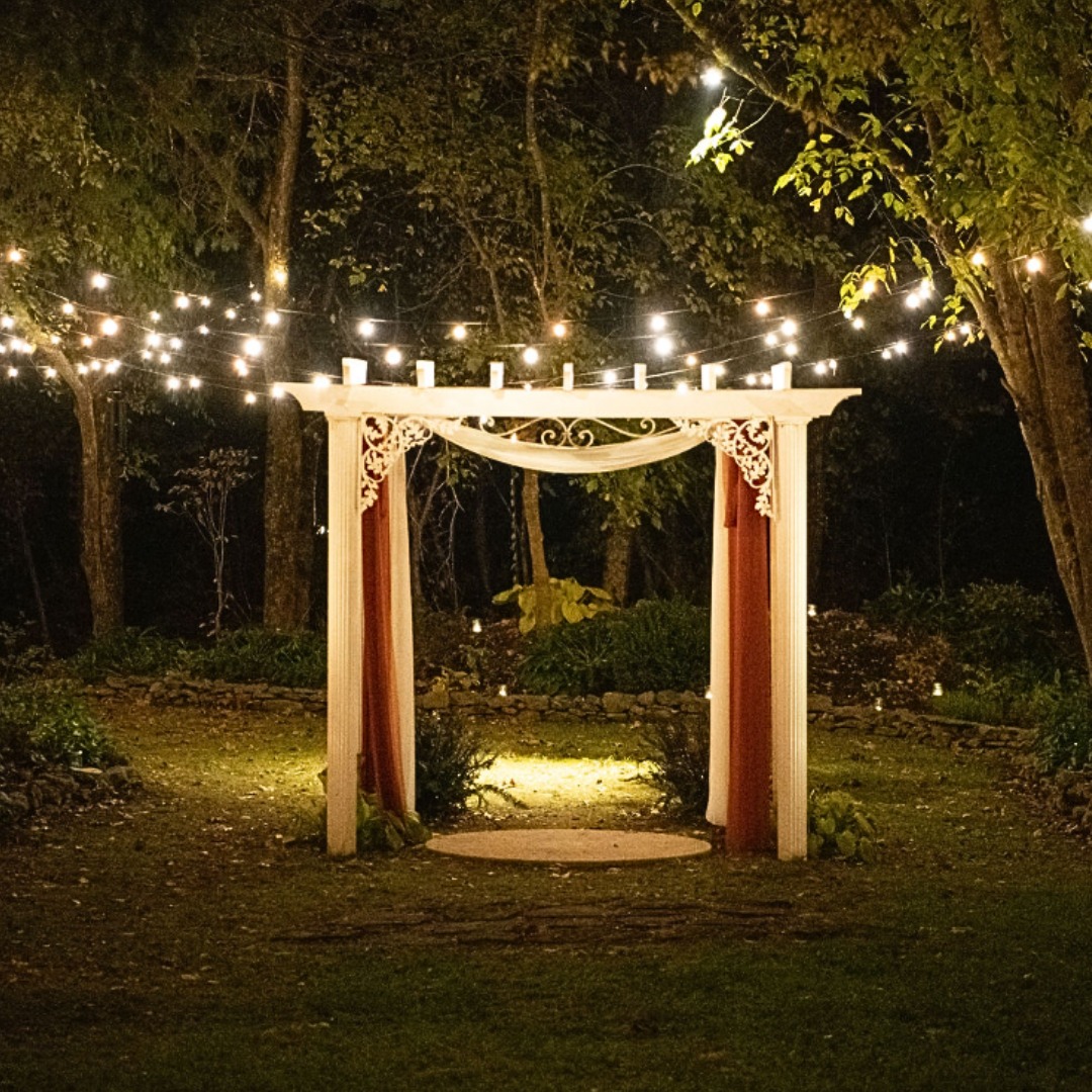 pergola under trees with string lights